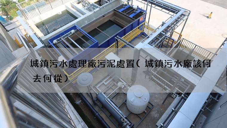 城鎮污水處理廠污泥處置(城鎮污水廠該何去何從)